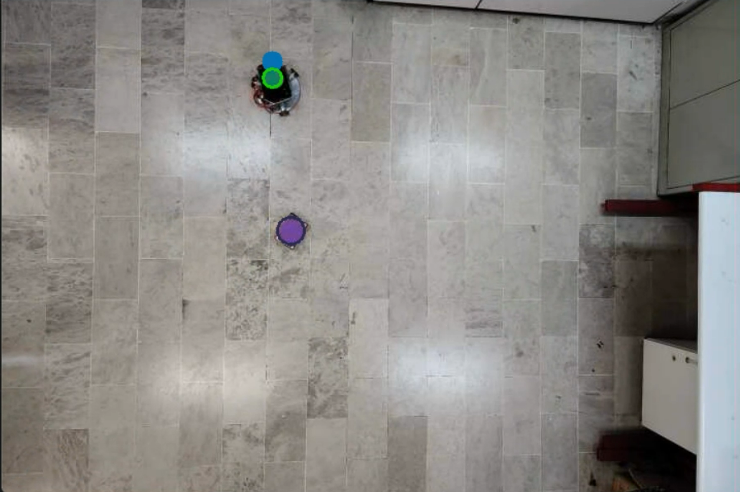 Top-down view of robot in arena as seen by overhead camera